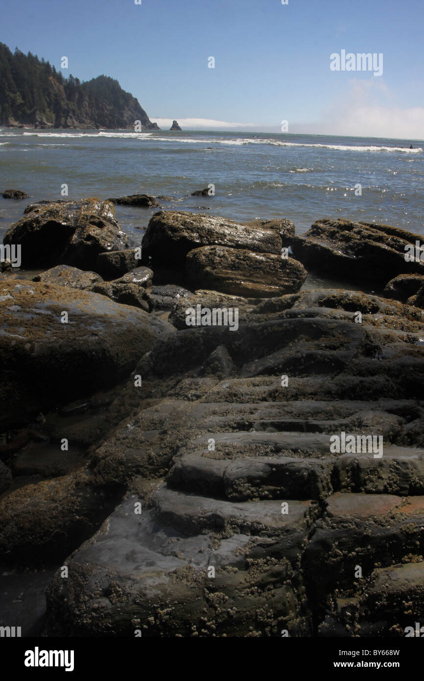 Les roches de marée Oswald West State Park Oregon Coast Banque D'Images
