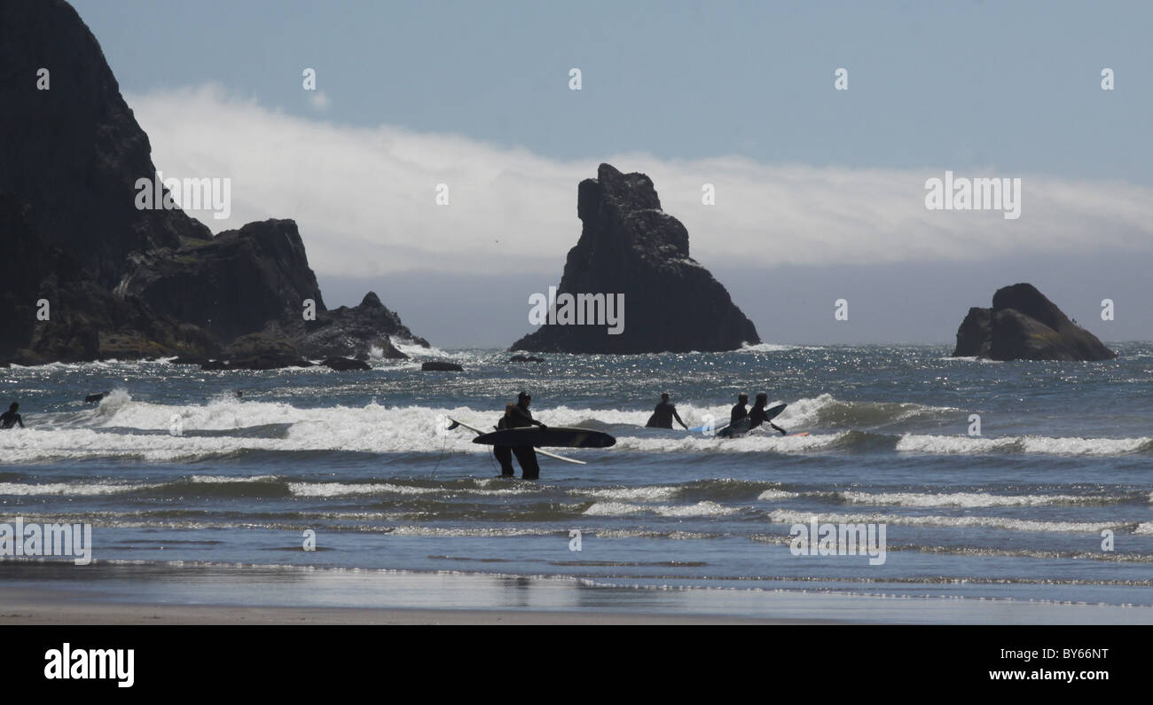 Surfers beach Oswald West State Park Oregon Coast Banque D'Images