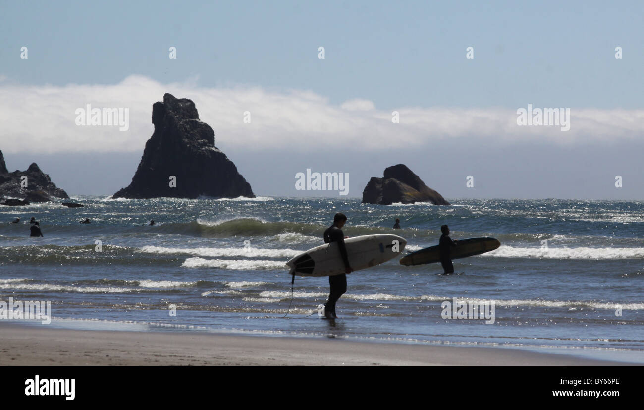 Surfers beach Oswald West State Park Oregon Coast Banque D'Images