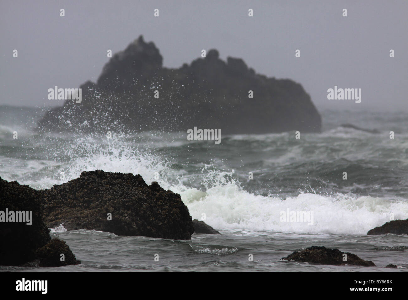 Vague de marée s'écraser l'Oregon brouillard Banque D'Images