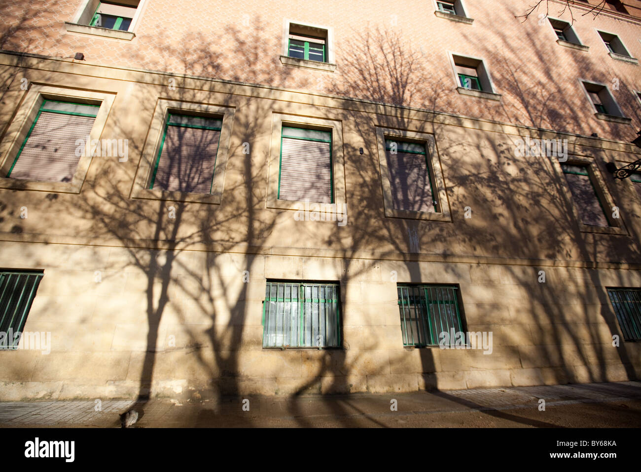 Ombre d'arbres dénudés sur le côté d'un immeuble moderne à Ségovie, Espagne. Banque D'Images