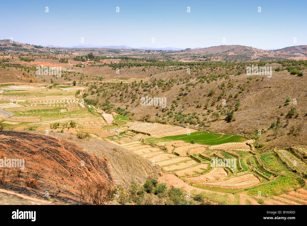 Paysage de rizières et de cultures variées à environ 20 km au nord d'Antananarivo, capitale de Madagascar. Banque D'Images