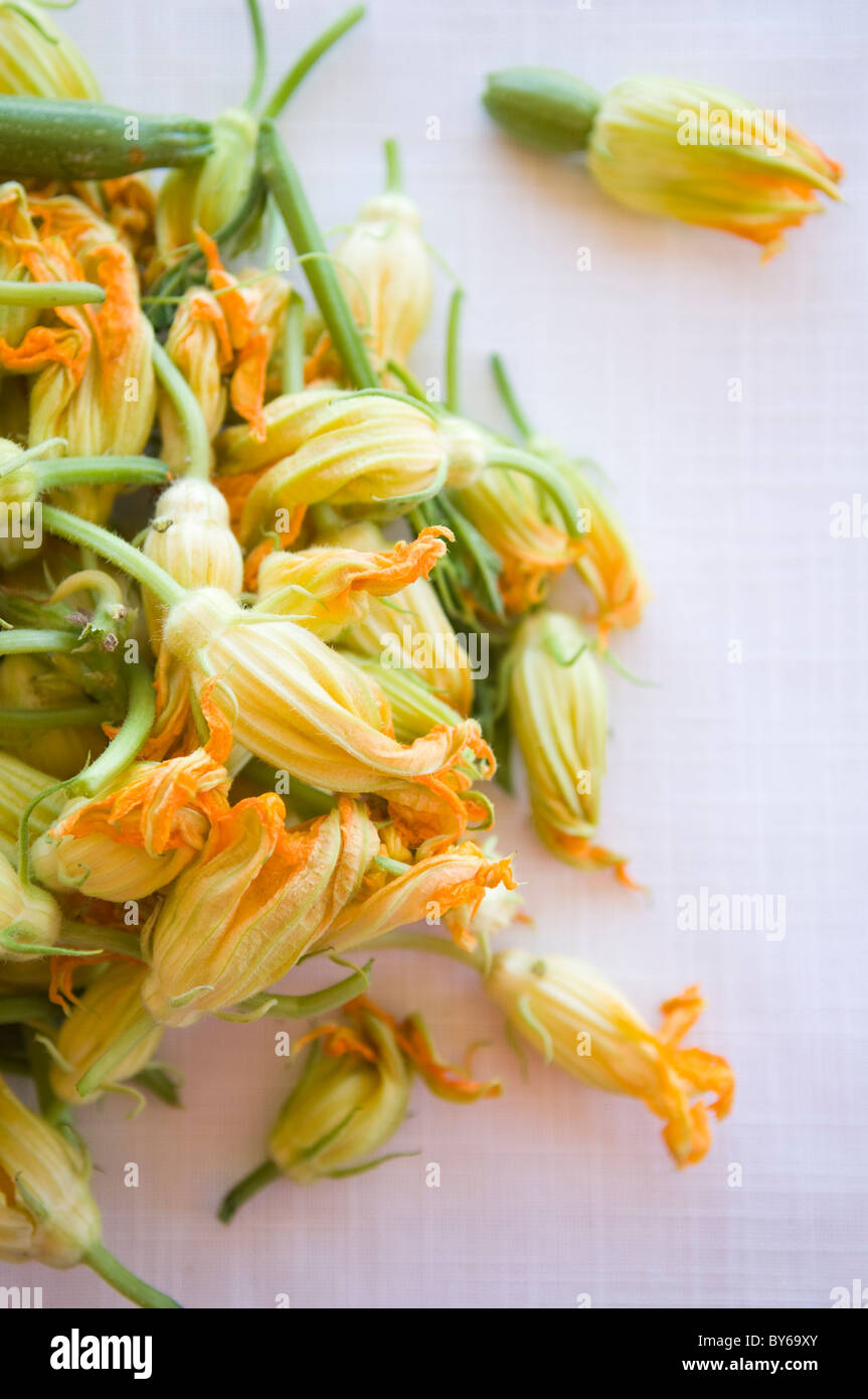 Fleurs de courgettes courgettes ou dans le sud de l'Italie Banque D'Images