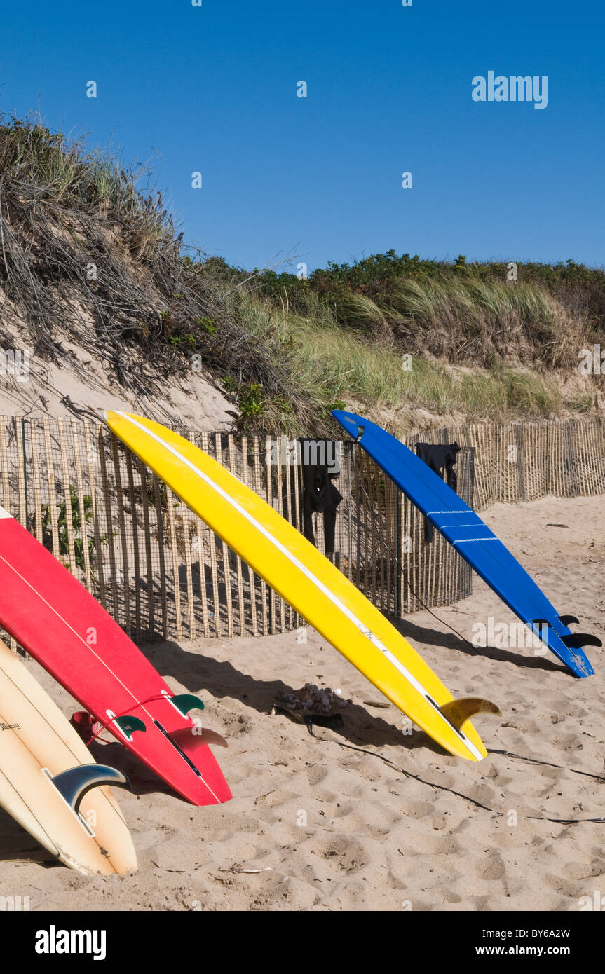 Planches reposant sur Fence Banque D'Images