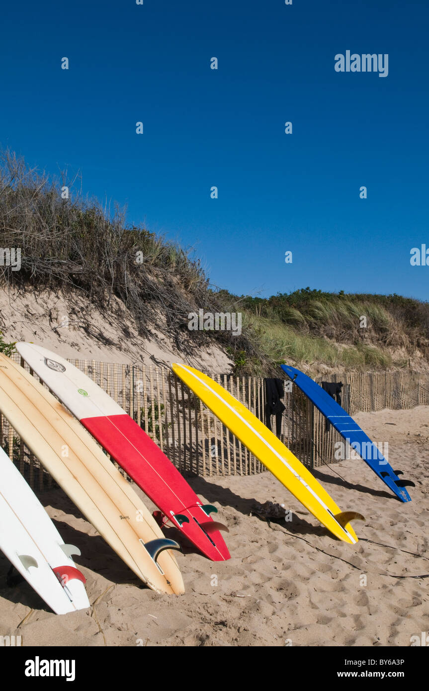 Planches reposant sur Fence Banque D'Images