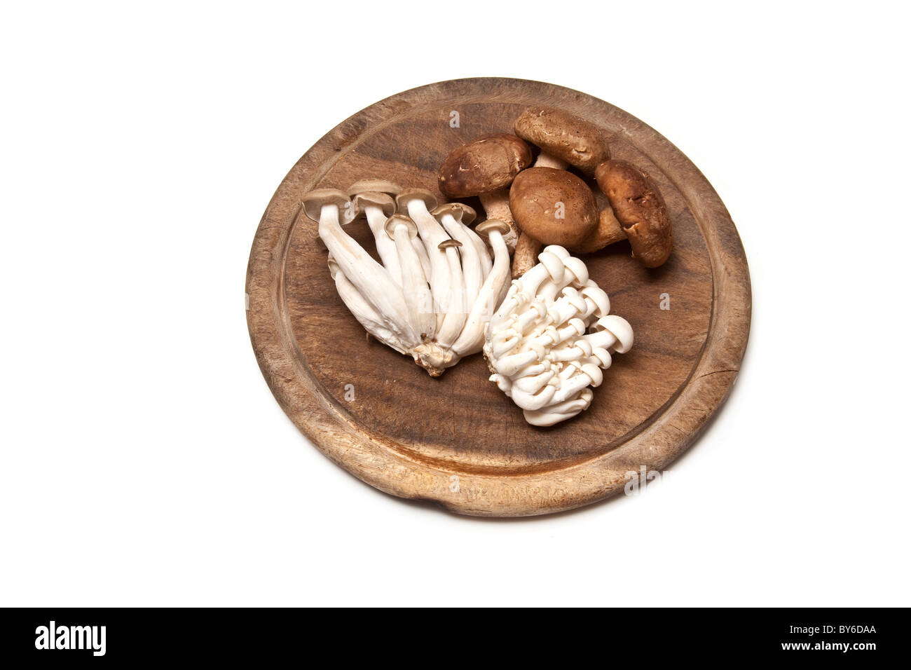 Champignons Enoki, chinois,Député-Shitake et shimeji sur une planche de bois. Isolé sur un fond blanc studio. Banque D'Images