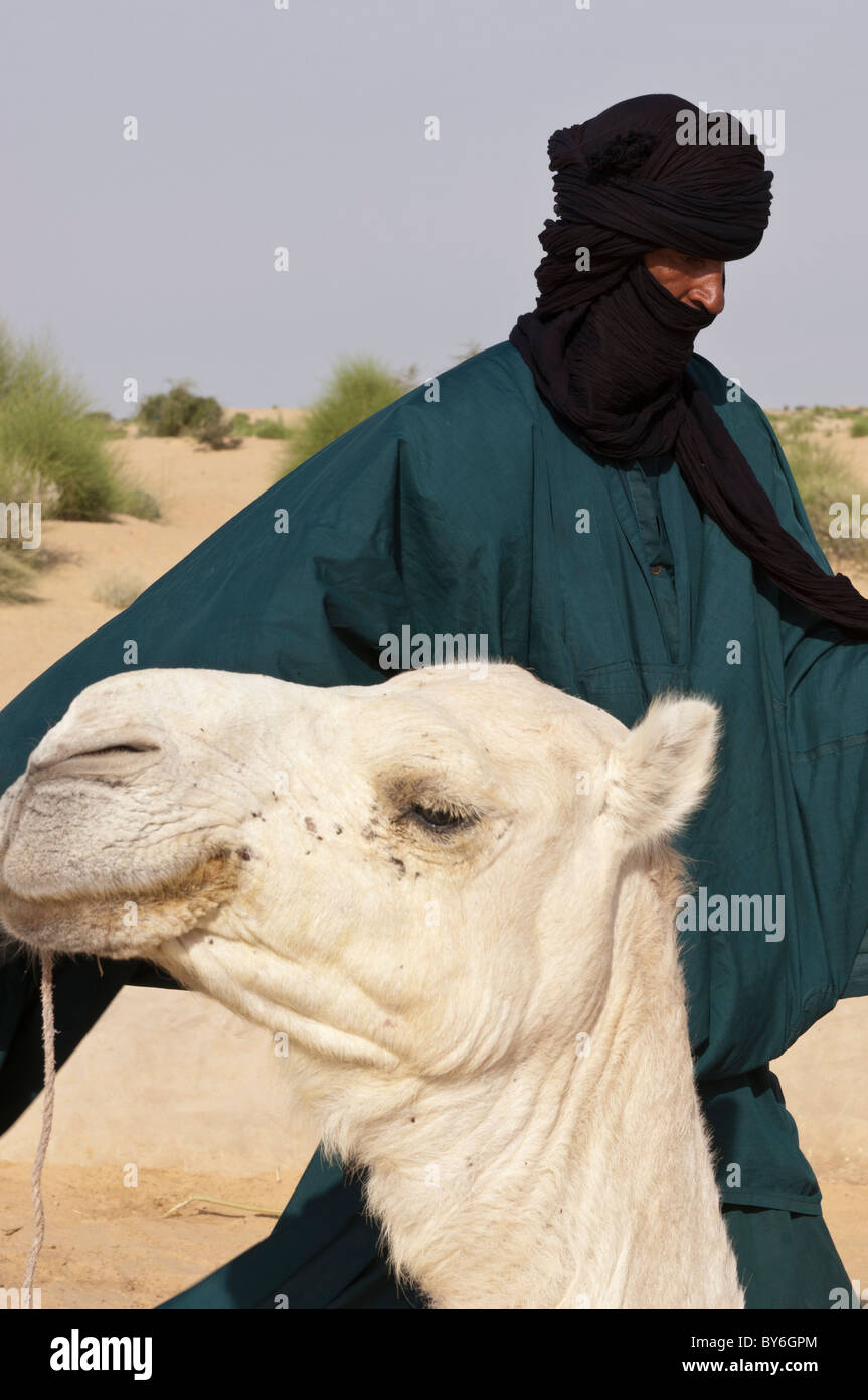 Homme Touareg et son chameau blanc. Tombouctou, Mali Banque D'Images