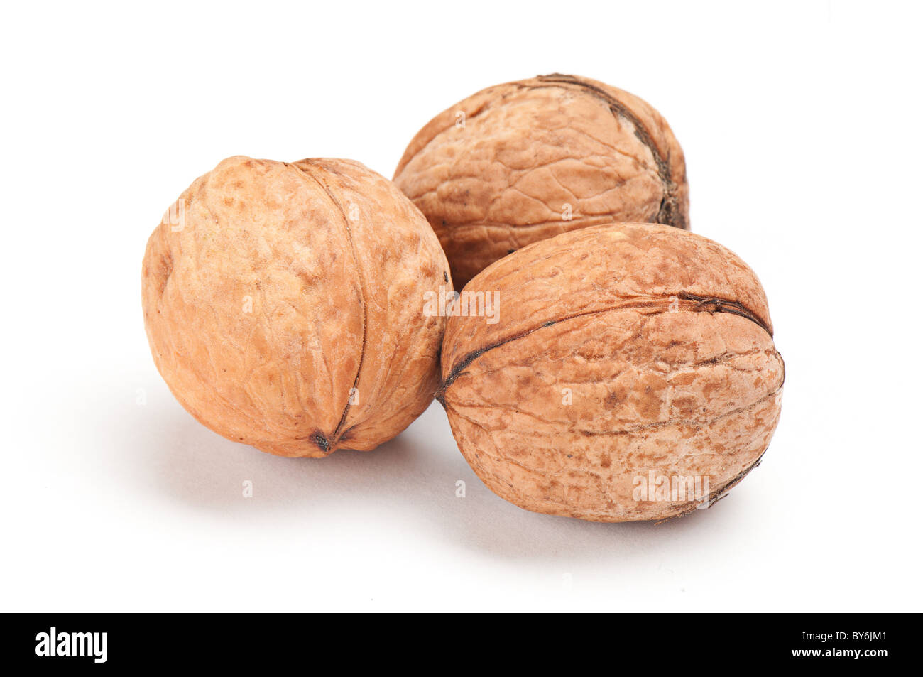 Noix sur fond blanc Banque D'Images