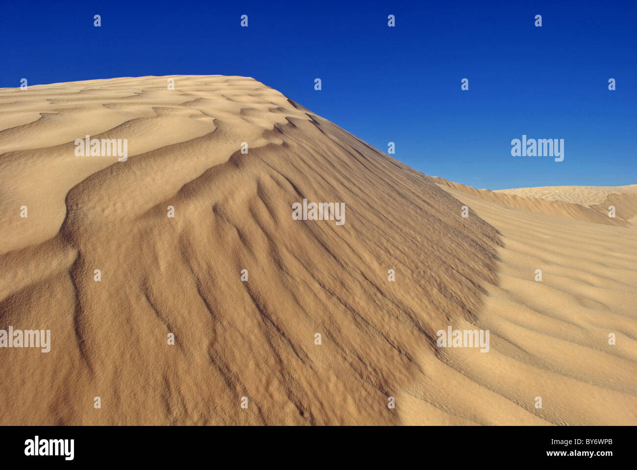 Dunes de sable dans le désert du Sahara (Grand Erg Oriental) près de Douz, Tunisie Banque D'Images