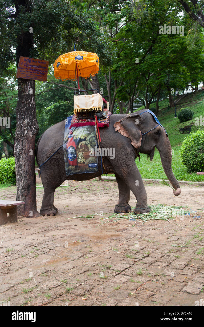 Tour d'éléphant Wat Phnom Phnom Penh Banque D'Images