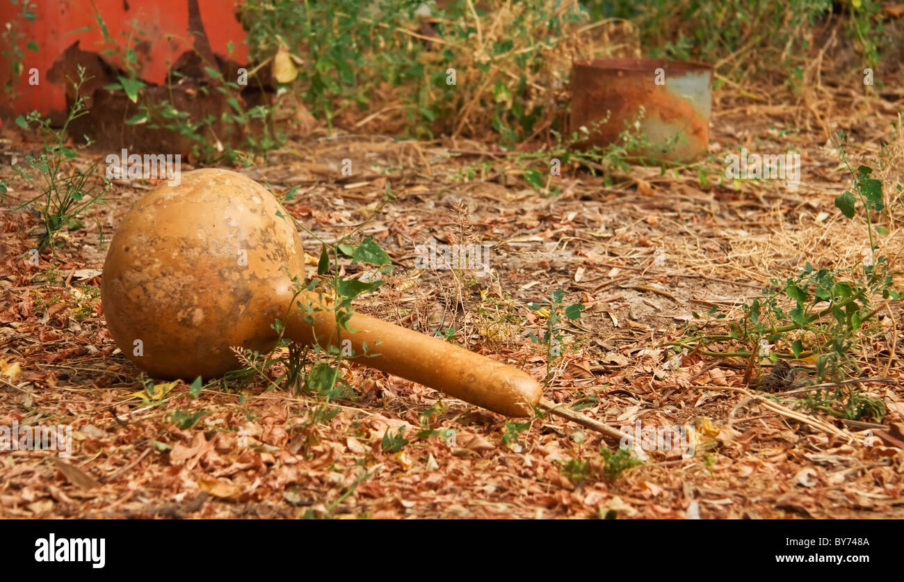 Balancier séchées gourd sur un sol d'automne. Banque D'Images