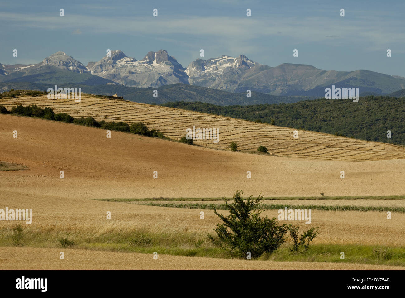 Les montagnes lointaines observées dans les champs à proximité de Puente la Reina de Jaca, Pyrénées, pirineos, Camino Aragones, Camino Frances, façon de s Banque D'Images