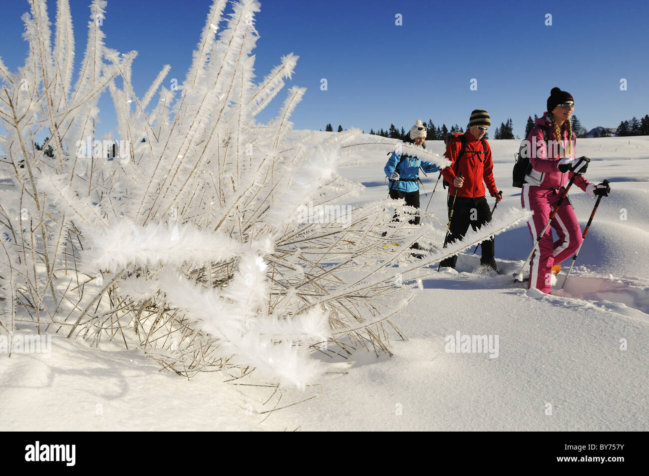 Les gens de raquette en paysage enneigé, Hemmersuppenalm, Reit im Winkl, Chiemgau, Haute-Bavière, Bavaria, Germany, Europe Banque D'Images