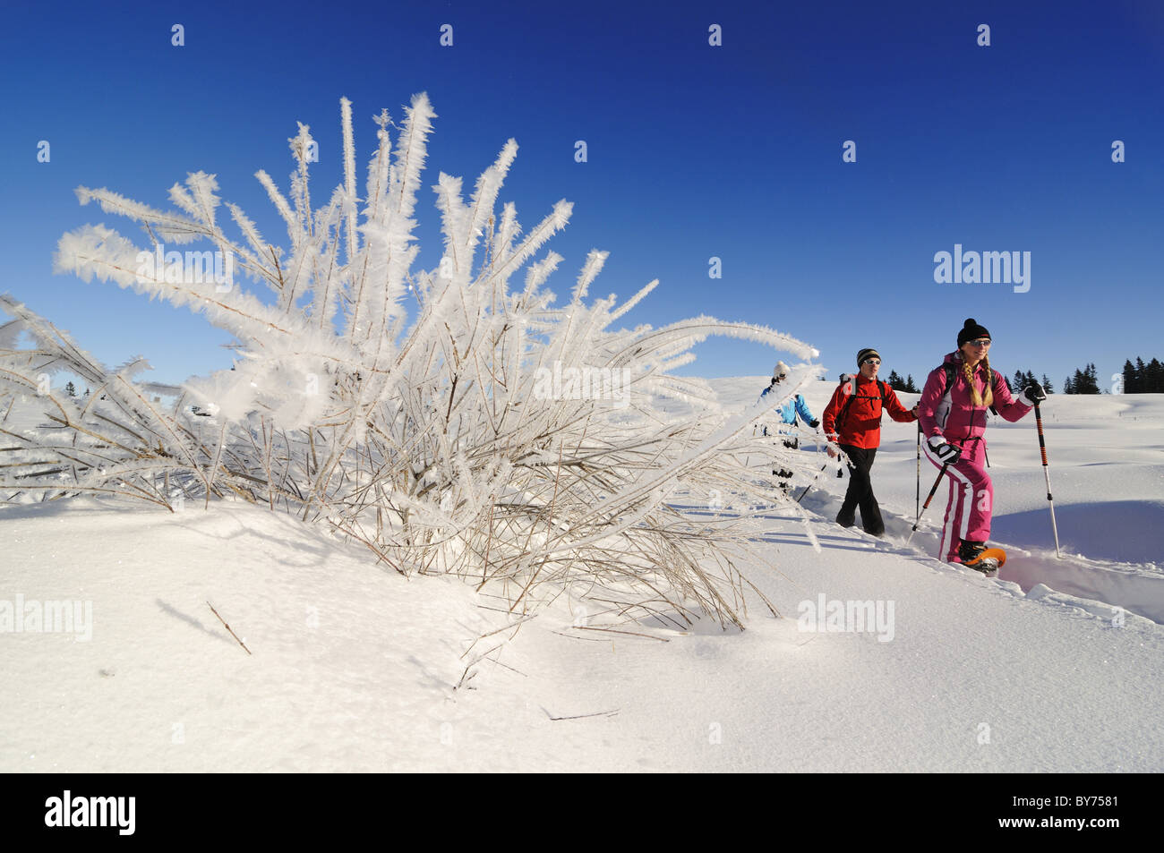 Les gens de raquette en paysage enneigé, Hemmersuppenalm, Reit im Winkl, Chiemgau, Haute-Bavière, Bavaria, Germany, Europe Banque D'Images