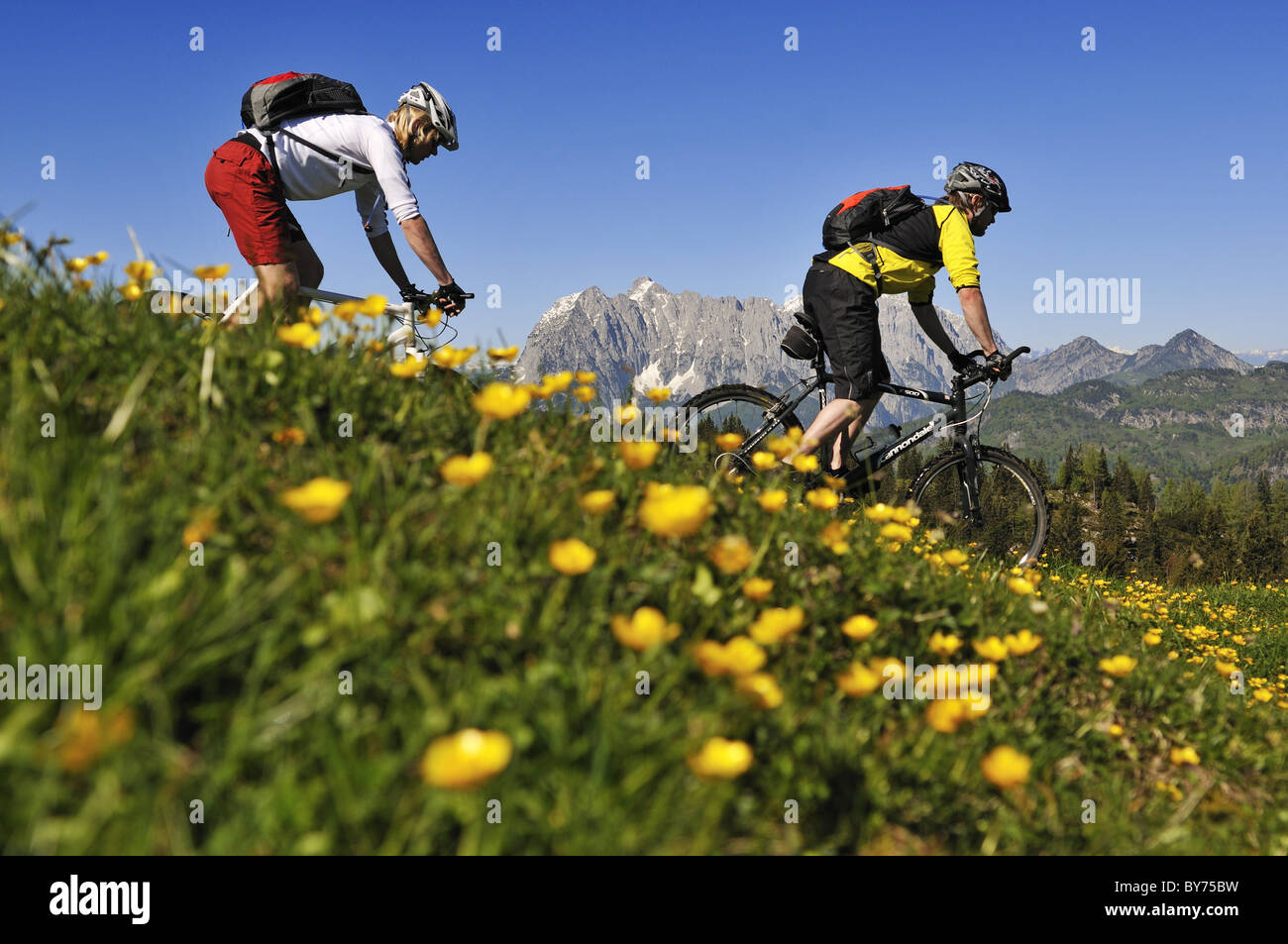 Les gens sur des vtt à Eggenalm, dans l'arrière-plan le Wilder Kaiser, Reit im Winkl, Bavaria, Germany, Europe Banque D'Images