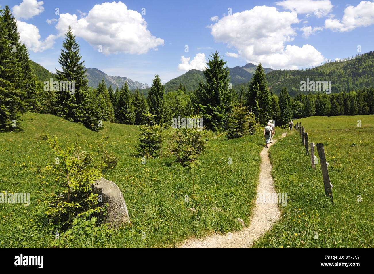 Randonneurs à Nattersberg alp, Reit im Winkl, Bavaria, Germany, Europe Banque D'Images