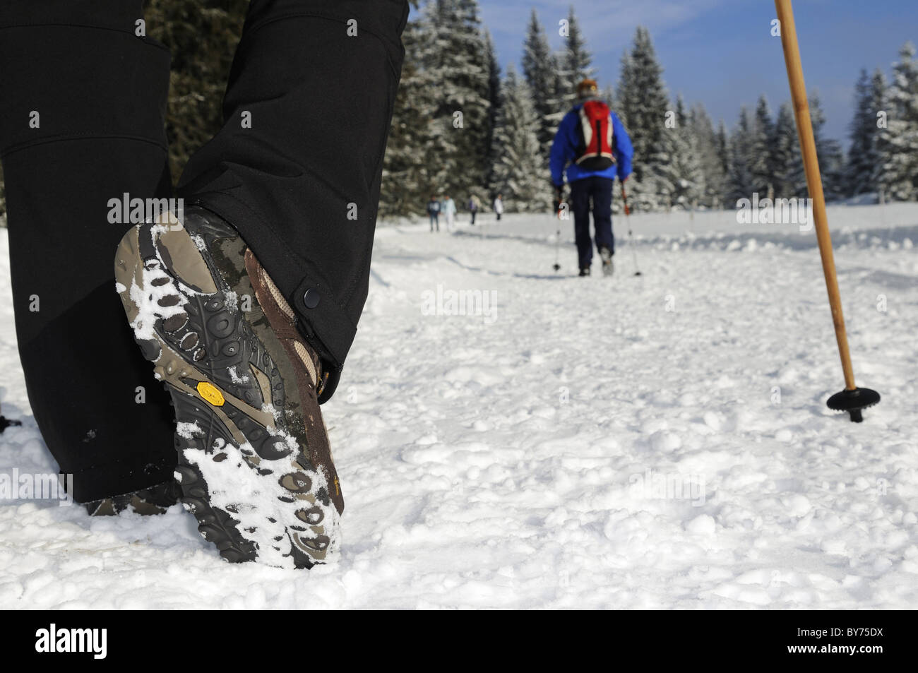 Les gens de la randonnée sur sentier de randonnée d''hiver dans paysage de neige, Hemmersuppenalm, Reit im Winkl, Chiemgau, Bavaria, Germany, Europe Banque D'Images