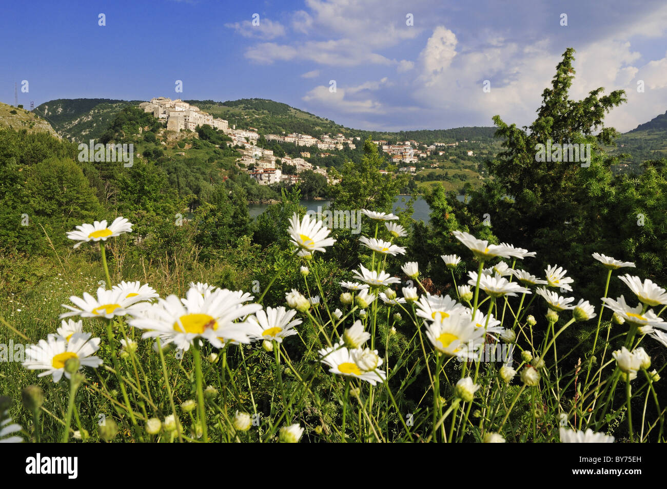 Flower meadow et village de montagne dans l'arrière-plan, Villetta Barrea, Lago di Barrea, Abruzzes, Italie, Europe Banque D'Images