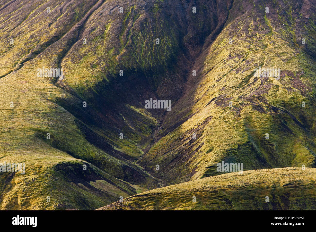 Montagnes couvertes de mousse, Landmannalaugar, Southern Highlands, l'Islande Banque D'Images