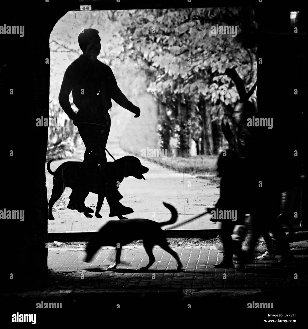 Une femme marche avec son chien passer un panneau représentant une personne qui marche avec un chien dans le centre-ville de Tel Aviv, Israël Banque D'Images