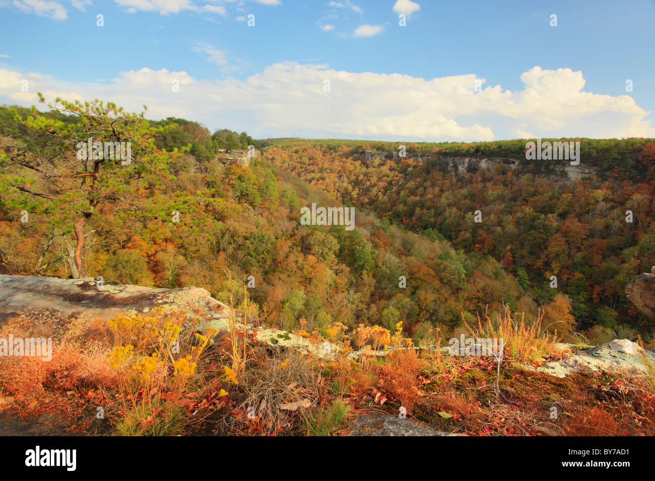 Canyon View surplombent, Little River Canyon National Preserve, de Fort Payne, Alabama, Etats-Unis Banque D'Images
