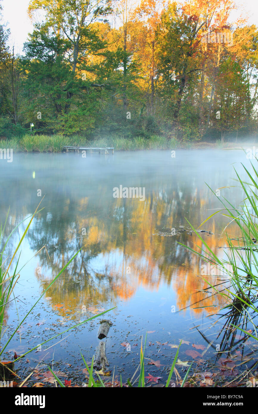 Brume matinale sur le lac, Lake Guntersville Guntersville State Resort Park, Alabama, USA Banque D'Images