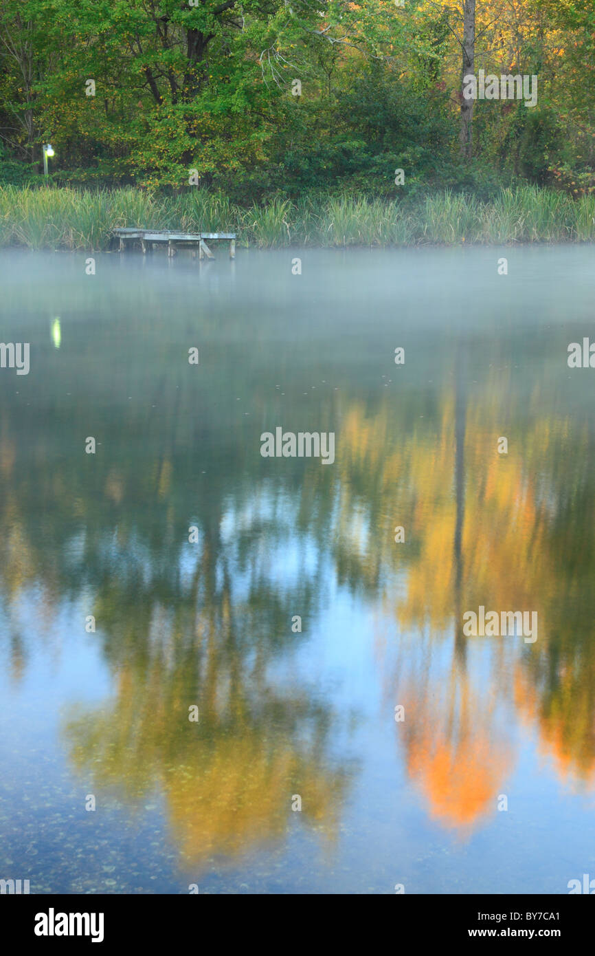 Brume matinale sur le lac, Lake Guntersville Guntersville State Resort Park, Alabama, USA Banque D'Images