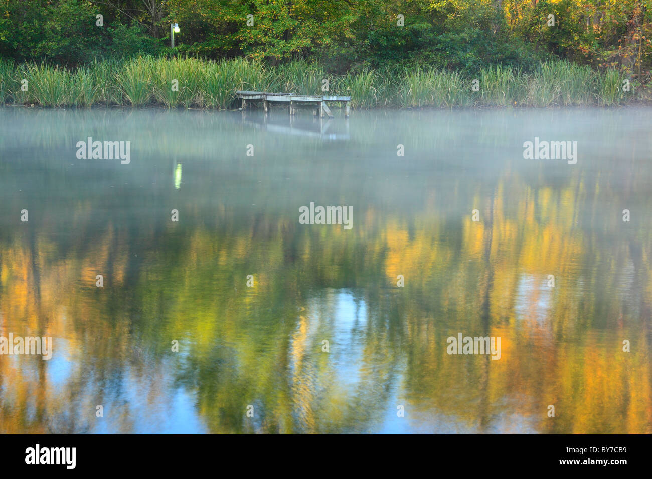 Brume matinale sur le lac, Lake Guntersville Guntersville State Resort Park, Alabama, USA Banque D'Images