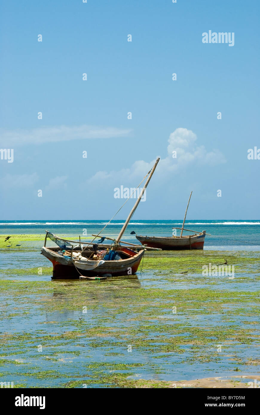 Les bateaux de pêche reposant sur la berge à Malindi au Kenya avec la marée et des algues partout sur la plage Banque D'Images