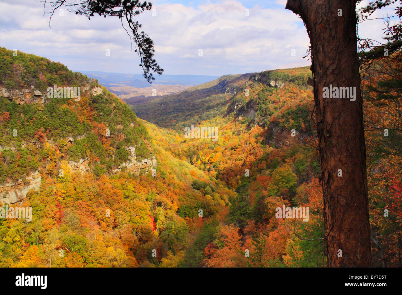 Donnent sur sentier, Cloudland Canyon State Park, l'augmentation de Fawn, Georgia, USA Banque D'Images Donnent sur sentier, Cloudland Canyon State Park, l'augmentation de Fawn, Georgia, USA Banque D'Images