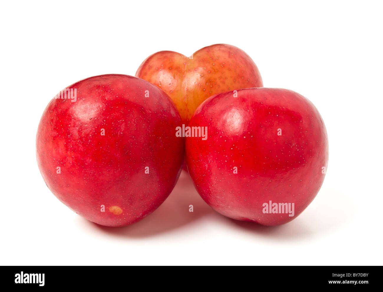 Trois prunes rouges à partir de la perspective faible isolé sur blanc. Banque D'Images