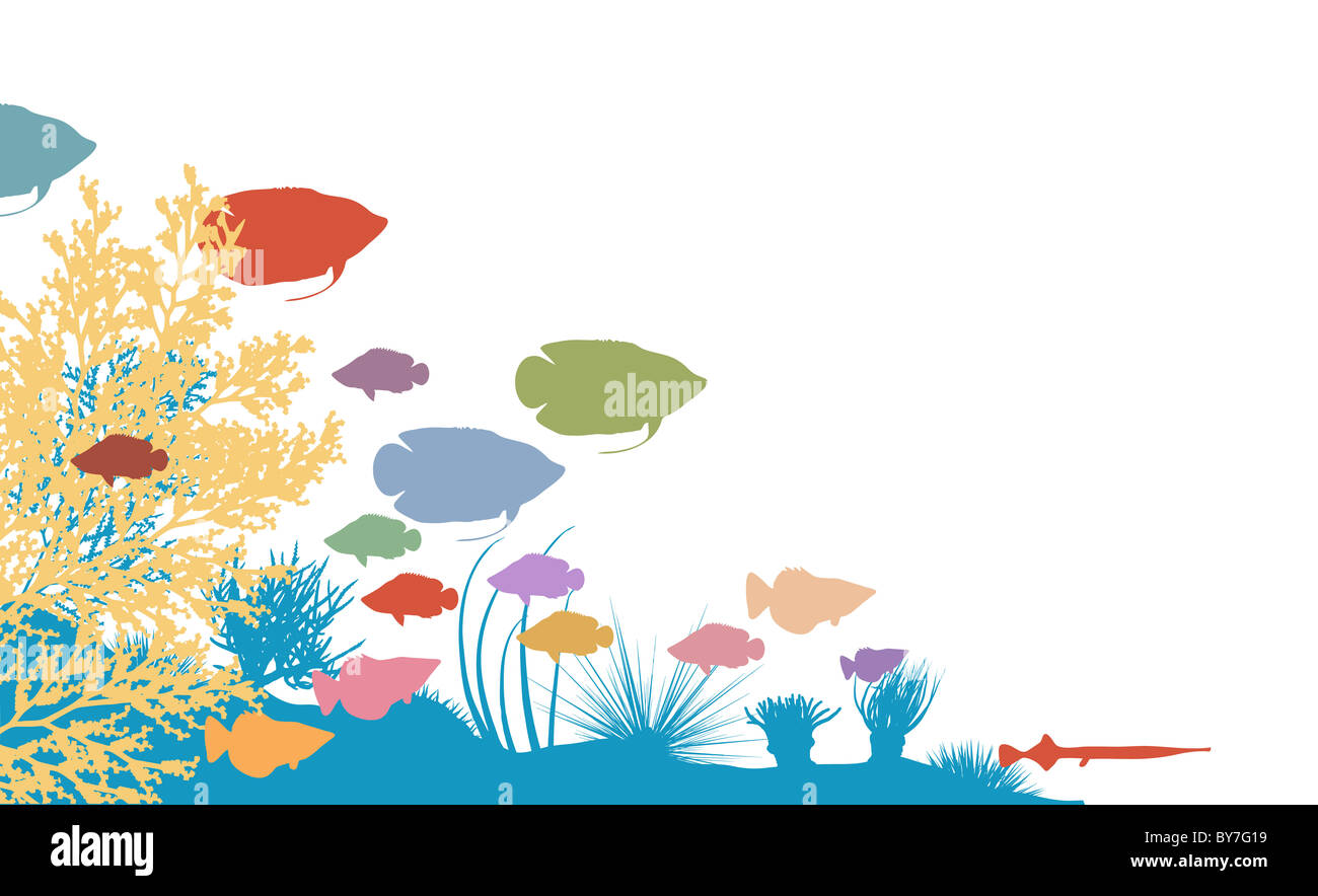 Illustration de poissons colorés et des silhouettes Banque D'Images