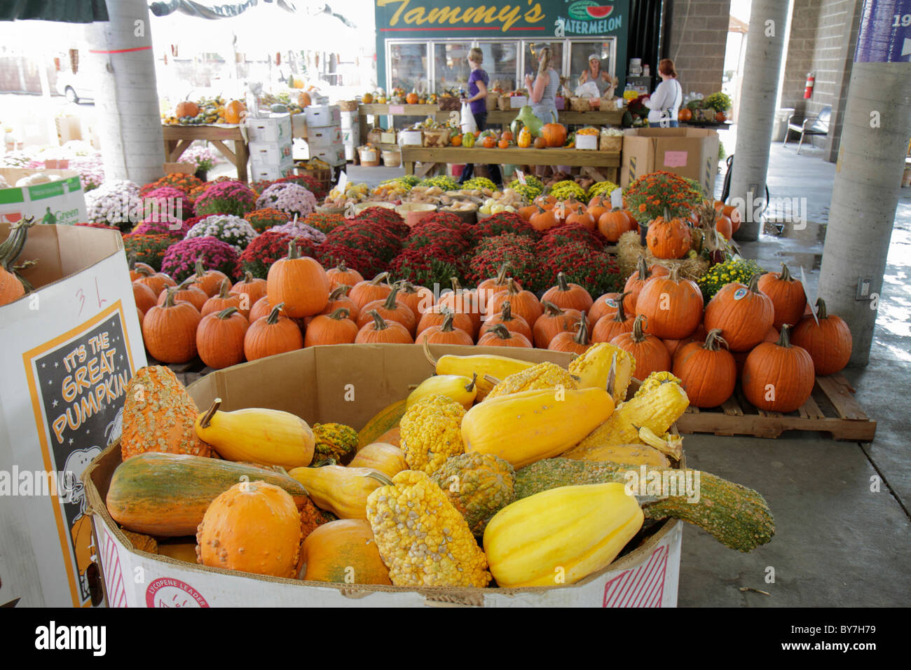 Nashville Tennessee,marché agricole de Nashville,produits locaux,frais,récolte d'automne,automne,citrouille,courge,légume,fleurs,adul Banque D'Images