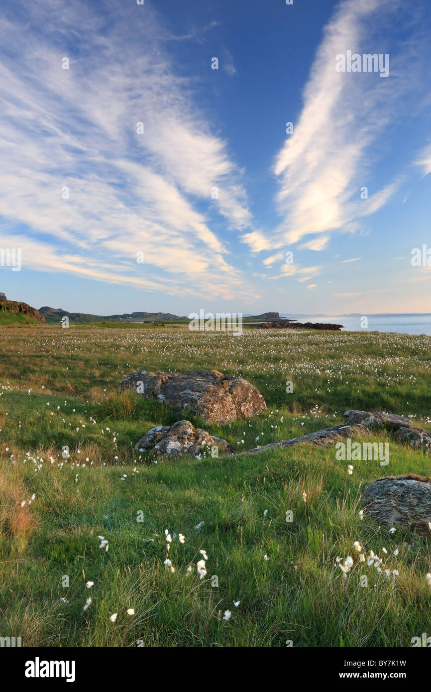 La Linaigrette Eriophorum angustifolium et la vue sur la péninsule de Trotternish Oban Bay Ile de Skye Scotland UK Banque D'Images