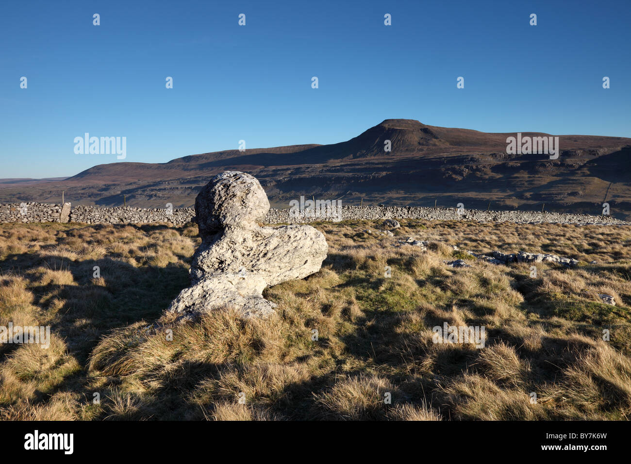 Boulder erratique et la montagne d'Ingleborough de Twisleton scars Yorkshire Dales Royaume-Uni Banque D'Images