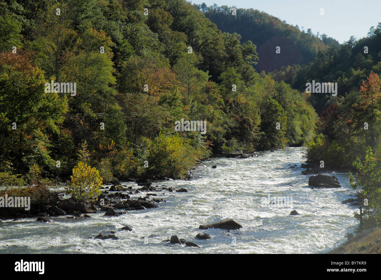 Tennessee Cherokee National Forest, rivière Ocoee, route panoramique 64, lit de rivière, eau blanche, rapides, rochers, arbres, rochers, TN101014021 Banque D'Images