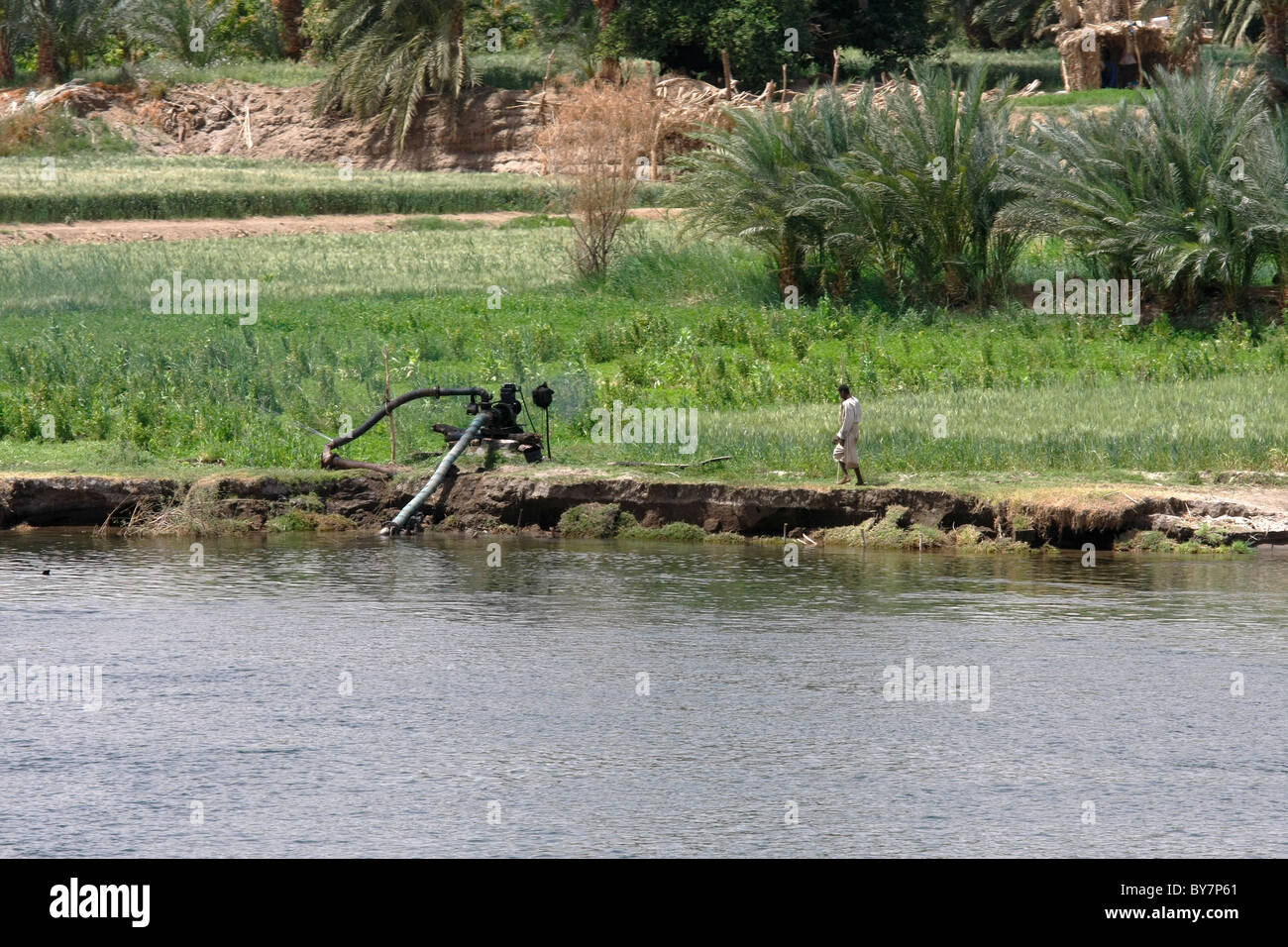 La banque du fleuve Nil en Egypte, montrant une pompe diesel et la culture possible en utilisant les eaux du Nil. Banque D'Images