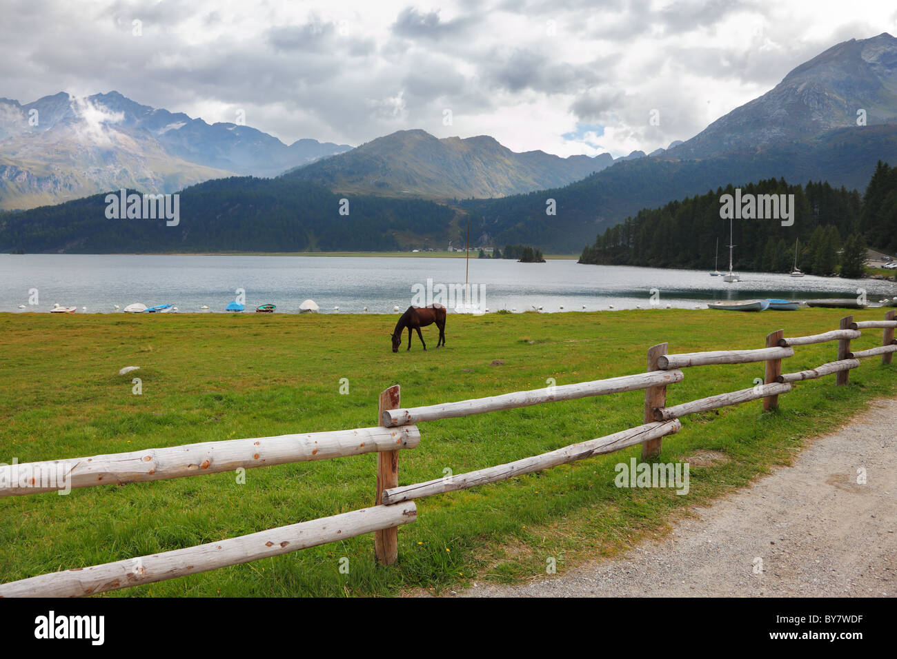 Clôture rurale le long de la rive du lac. Pur-sang élégant bay près de la calèche yachts amarrés Banque D'Images
