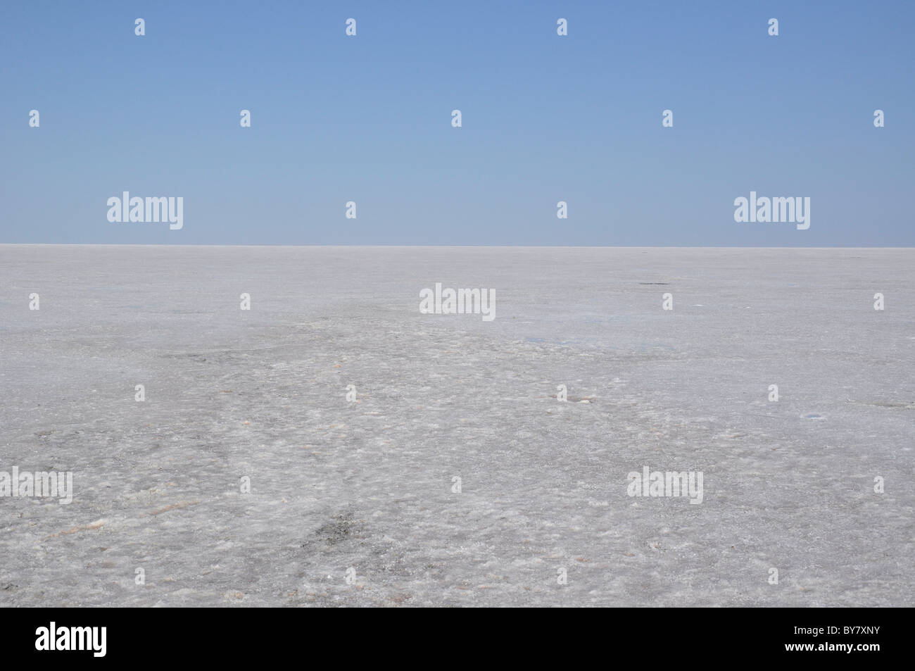 Rann de Kutch, Gujarat, Inde Banque D'Images