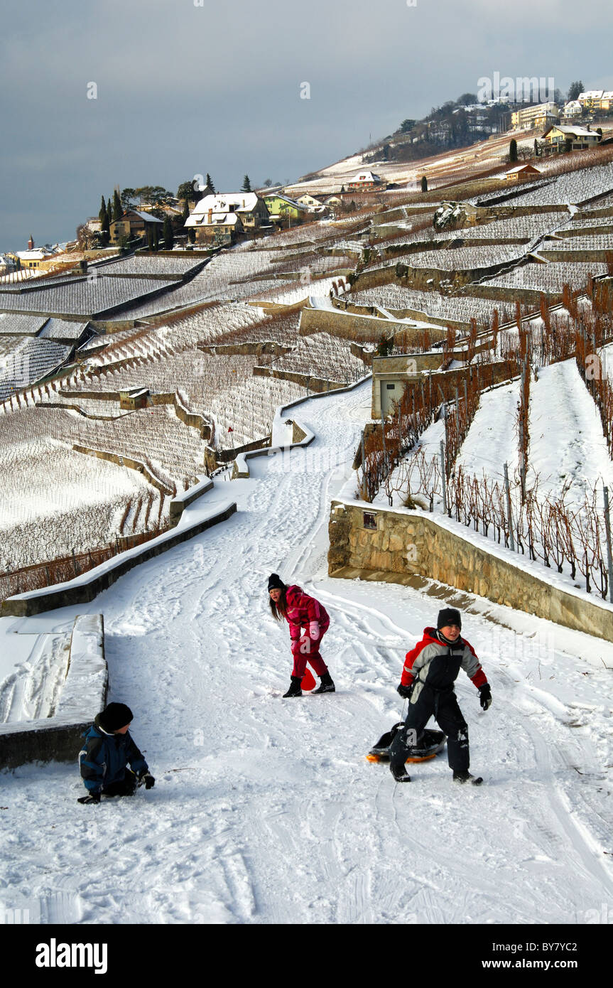 Enfants jouant dans la neige au milieu des vignobles en terrasses du Lavaux au patrimoine mondial de l'UNESCO près de Rivaz, Suisse Banque D'Images