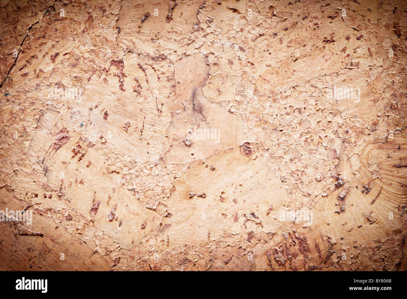Texture d'image cork - surface du bois. Banque D'Images