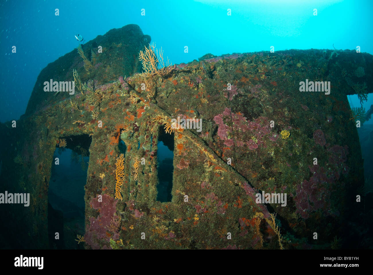 Naufrage - cabine en décomposition d'un naufrage dans la mer sous l'eau Banque D'Images