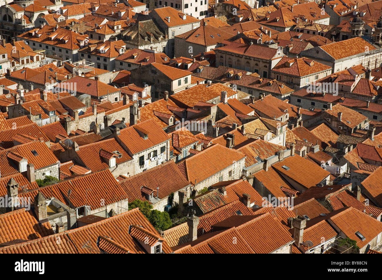 La Croatie, Elk192-3351 de la côte dalmate, Dubrovnik, toits de tuiles rouges, nouveau et réparé après les bombardements serbes Banque D'Images