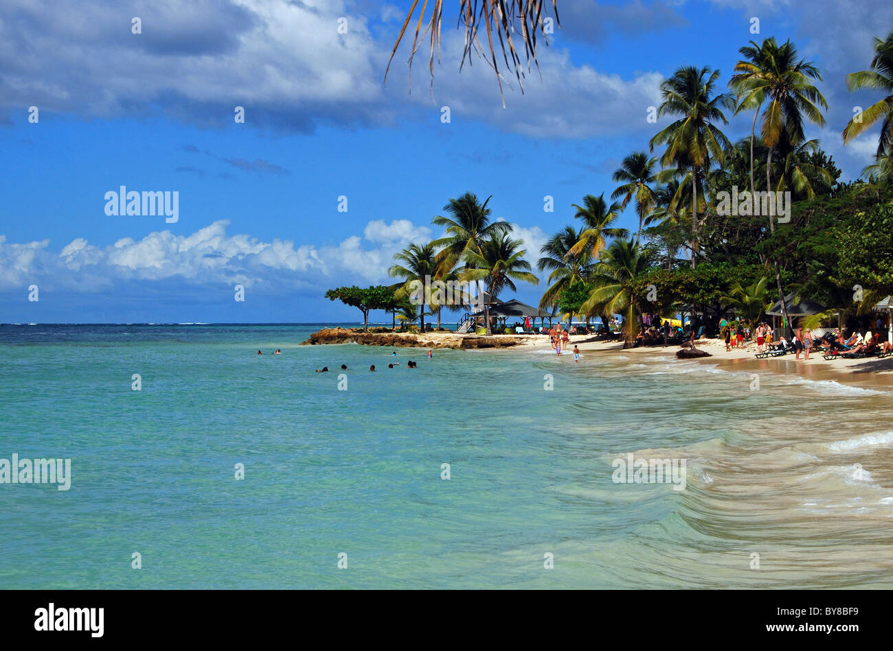 Afficher le long de la plage, Pigeon Point, Tobago, Trinité-et-Tobago, dans les Caraïbes. Banque D'Images