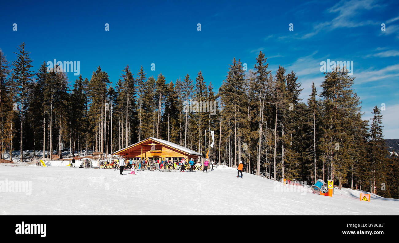 Log Cabins situé sur le Plan de Corones Val Badia Trentin-Haut-Adige Italie Banque D'Images