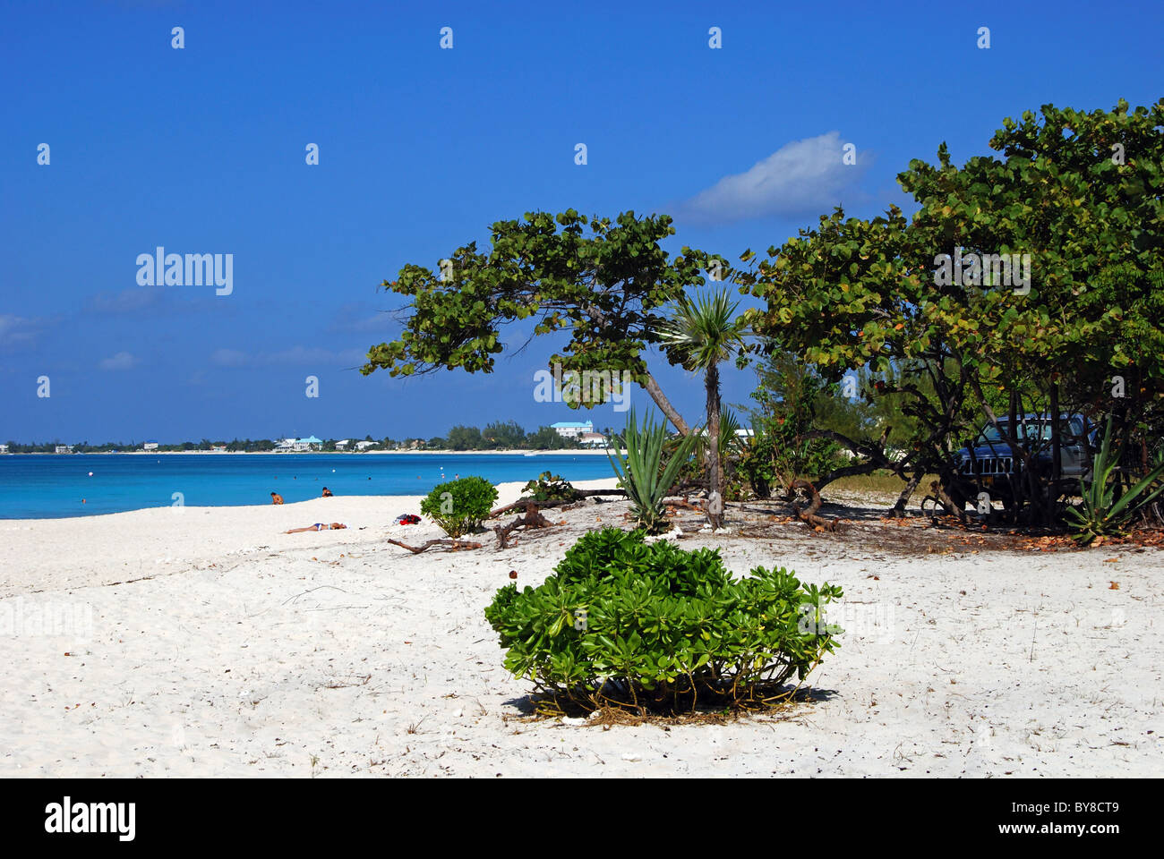 Vue sur la plage, George Town, Grand Cayman, Cayman Islands, Caribbean. Banque D'Images