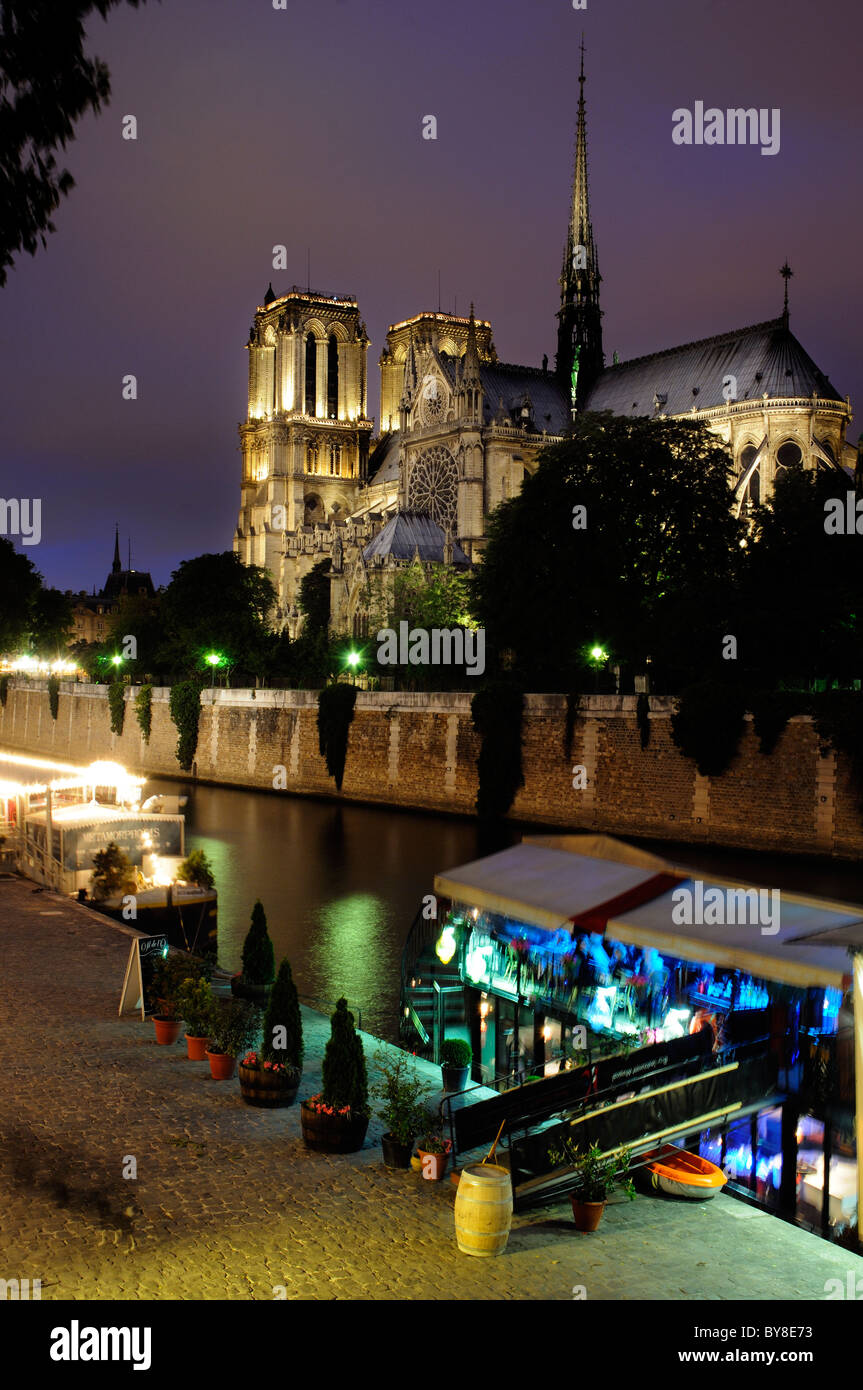 Notre Dame de Paris et de la Seine la nuit Banque D'Images