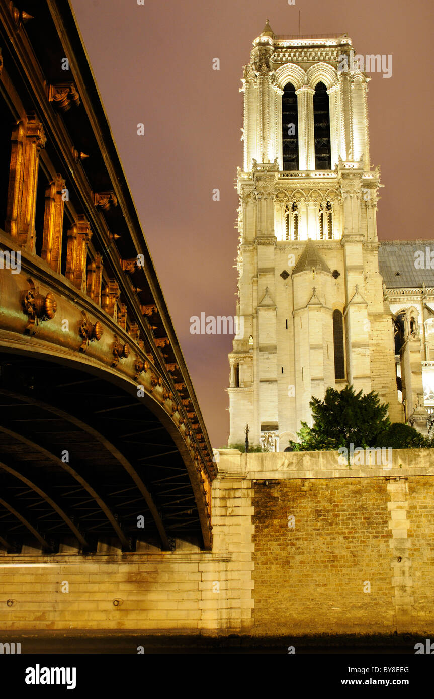 Notre Dame de Paris et du Pont au Double de Paris la nuit Banque D'Images