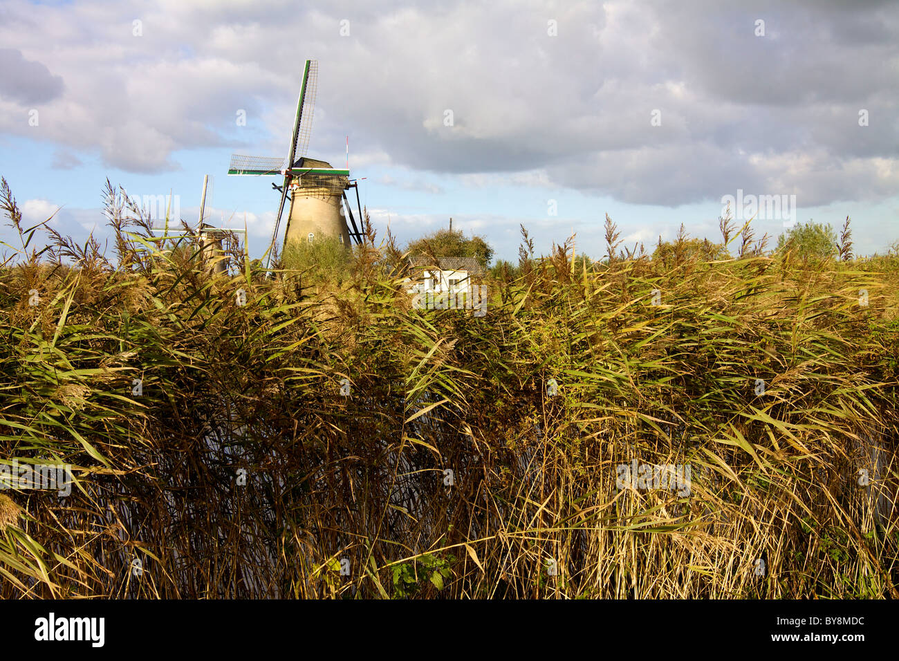 Site du patrimoine mondial de Kinderdijk de moulins à vent près d'Amsterdam Banque D'Images