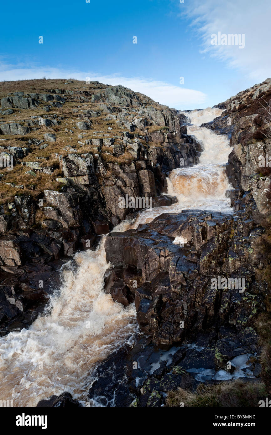 Museau de chaudron Banque D'Images